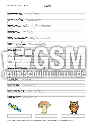 DSS_2S_Bu_and_Nr_01.pdf